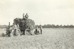 Verladen von Garben 1954 (erster Traktor)